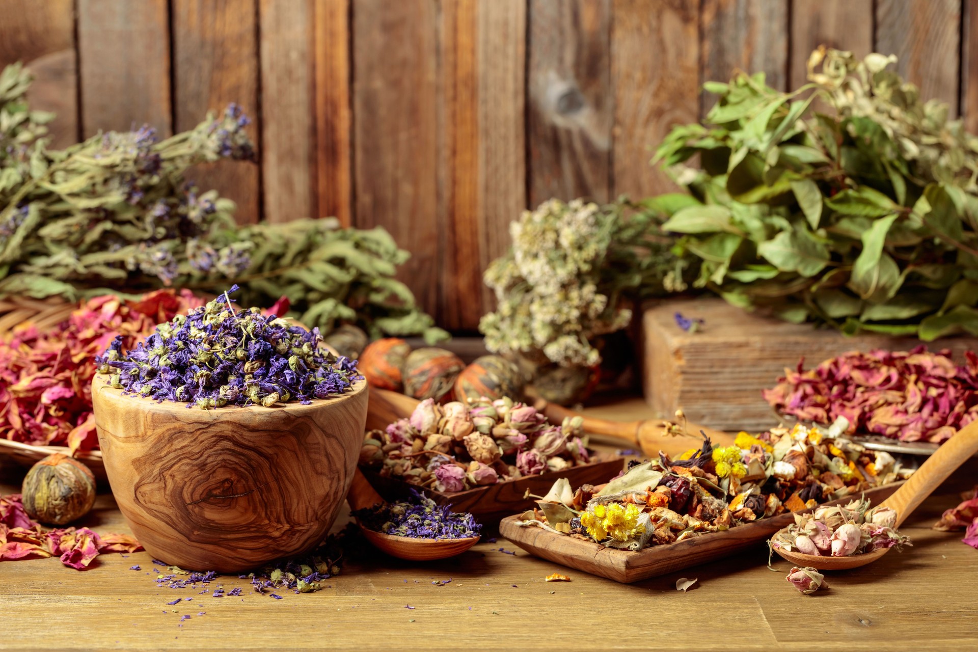 Various dried medicinal plants, herbs, and flowers on an old wooden background.